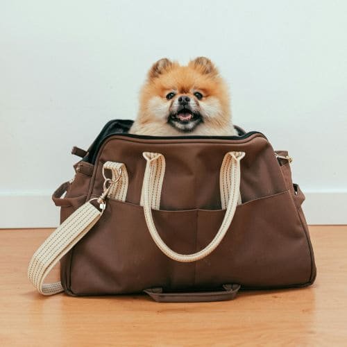 Dog Bag Gallery Image 3
