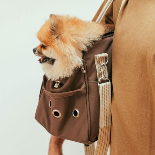 Dog Bag Gallery Image 4