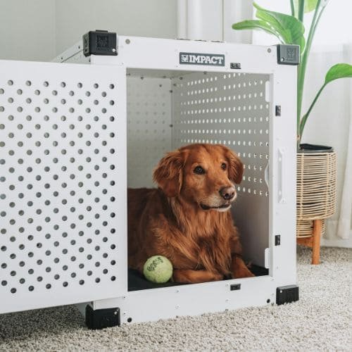 Popular-Product-Image