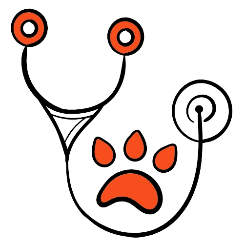 Why Choose PawCure Vet Clinic